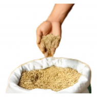 Avena ecológica