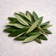 Hoja de Olivo, seca y envasada variedad "Acebuche" (pide otra variedad)